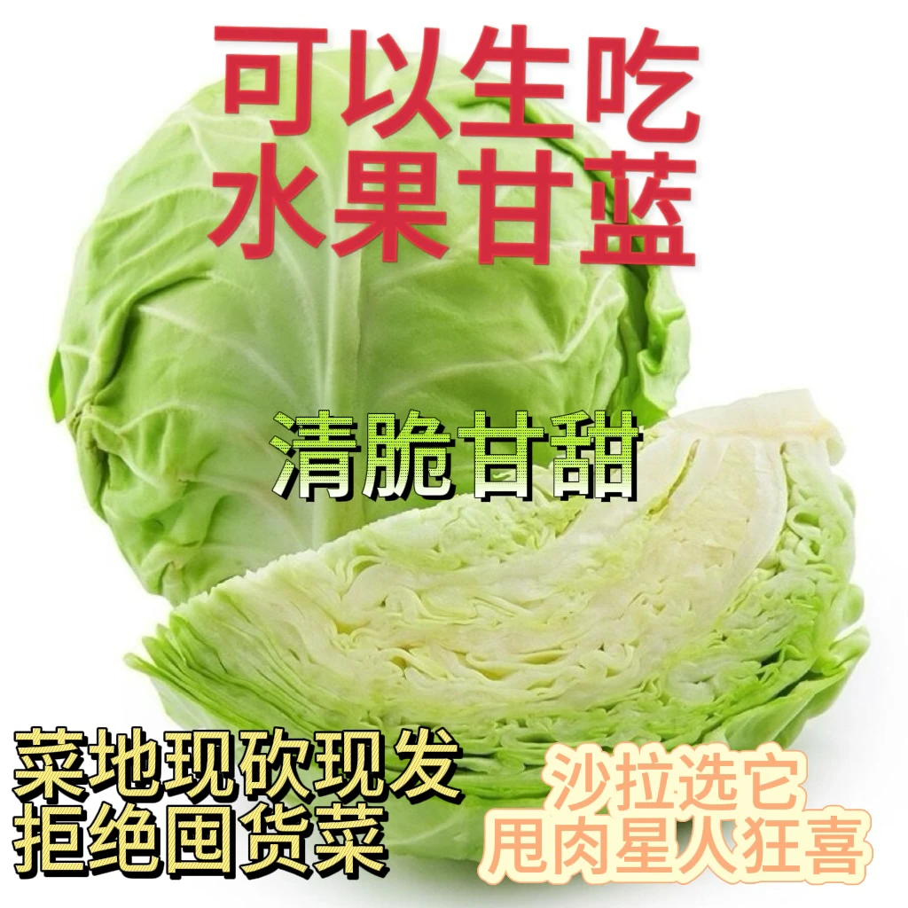 【现砍现发】现摘甘蓝包菜农家种植新鲜卷心菜沙拉当季蔬菜