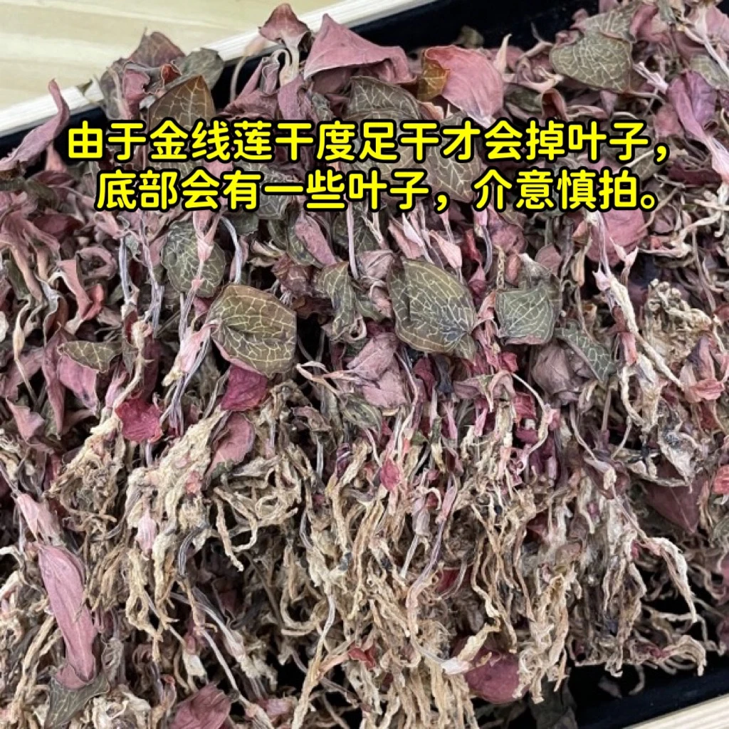 （福利）优选整株红霞金线莲草煮水煲汤半斤装