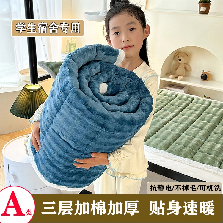 升级款壹加棉加厚保暖牛奶泡泡绒学宿舍加倍防滑床护垫床褥厚床盖