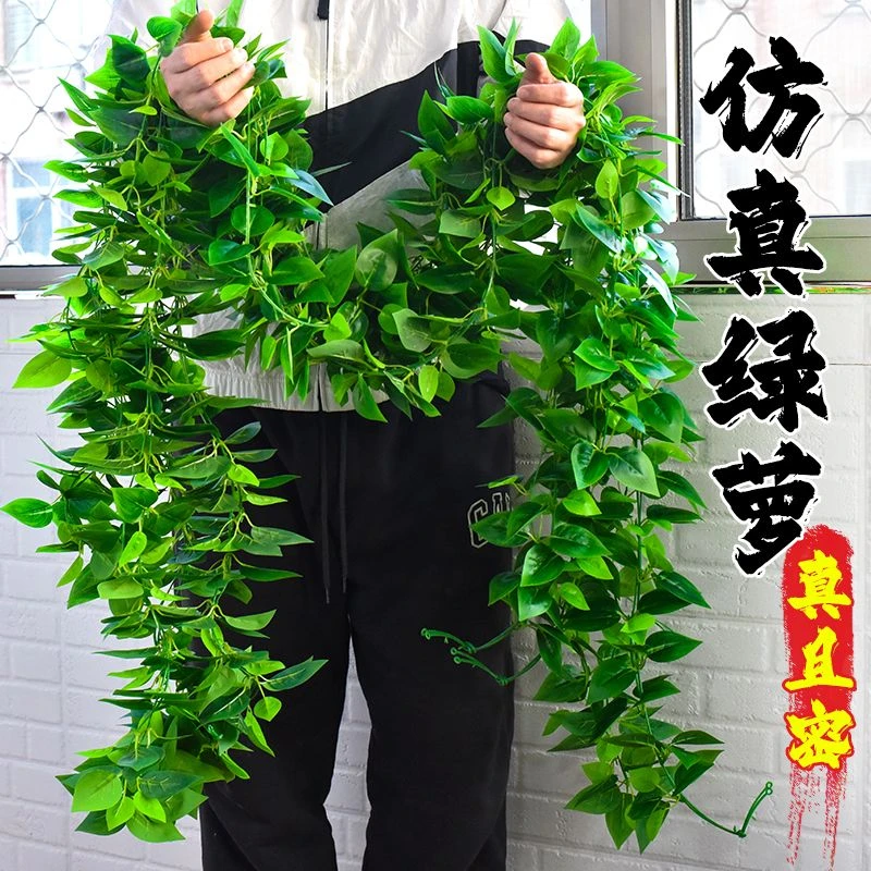 仿真藤条绿萝叶塑料假花装饰室内绿藤蔓植物假树叶壁挂遮挡绿叶子
