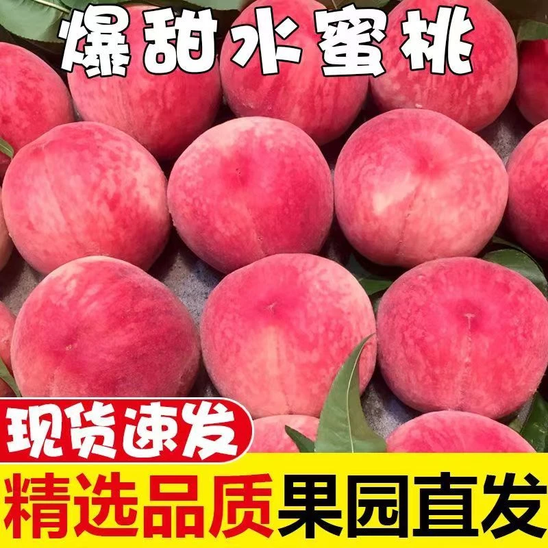 头茬现摘现发脆甜超越红桃《4.5斤装净重》夏日新鲜水果脆甜爆汁