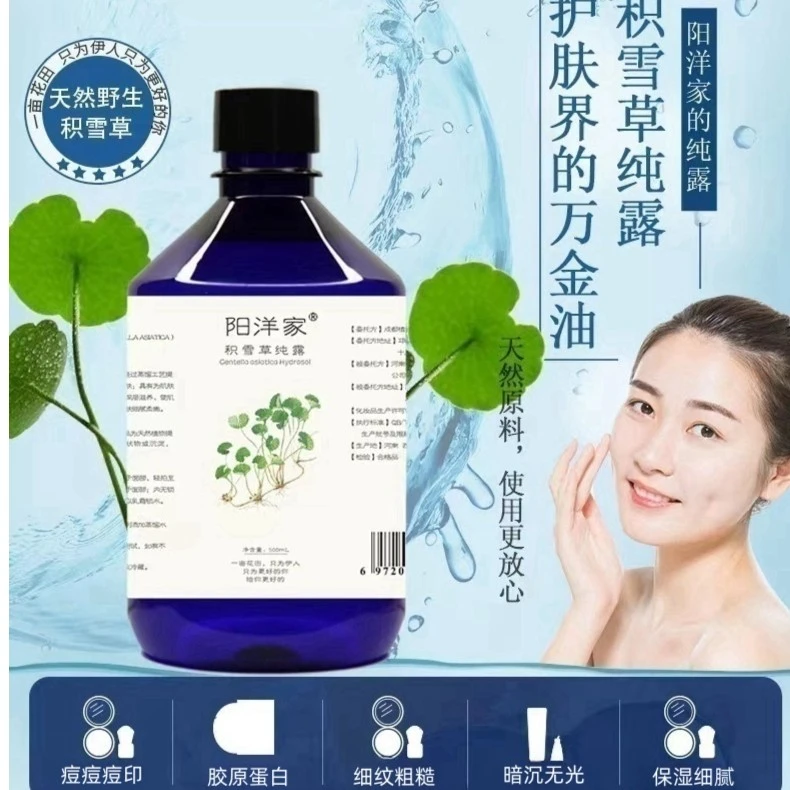 阳洋家野生积雪草纯露500ml痘痘痘印补水修护喷雾爽肤水提亮嫩肤