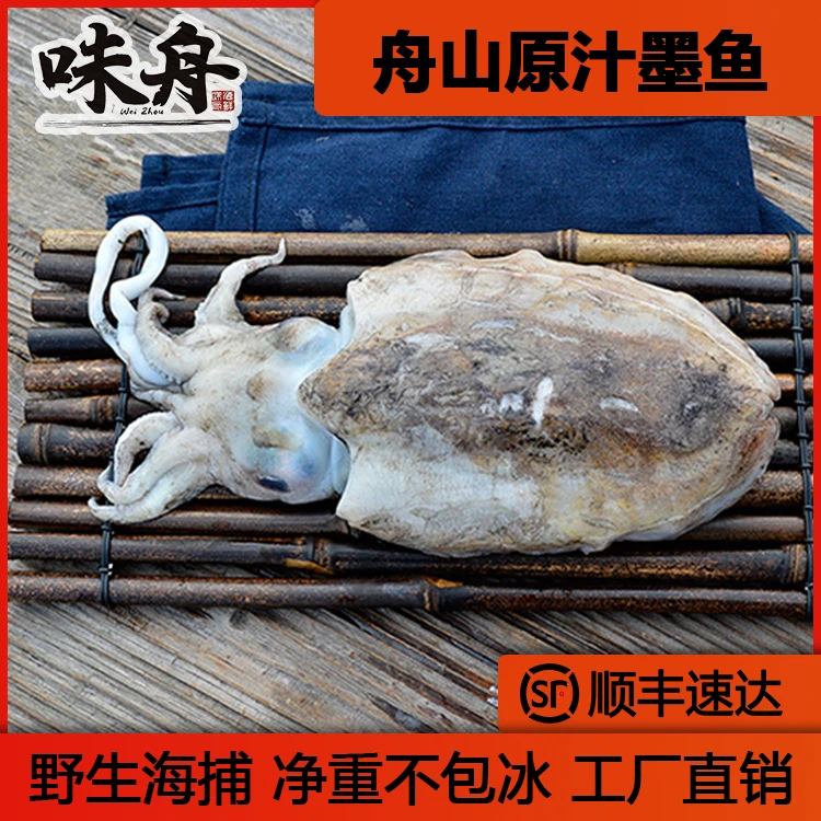 味舟舟山东海野生海捕冰鲜原汁大墨鱼目鱼乌贼3只真空无冰净重