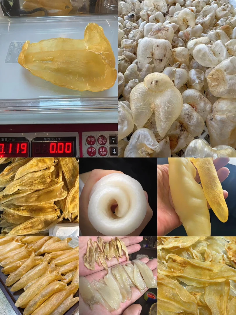 鱼胶花胶直播改价捡漏链接 以直播间为准【2】