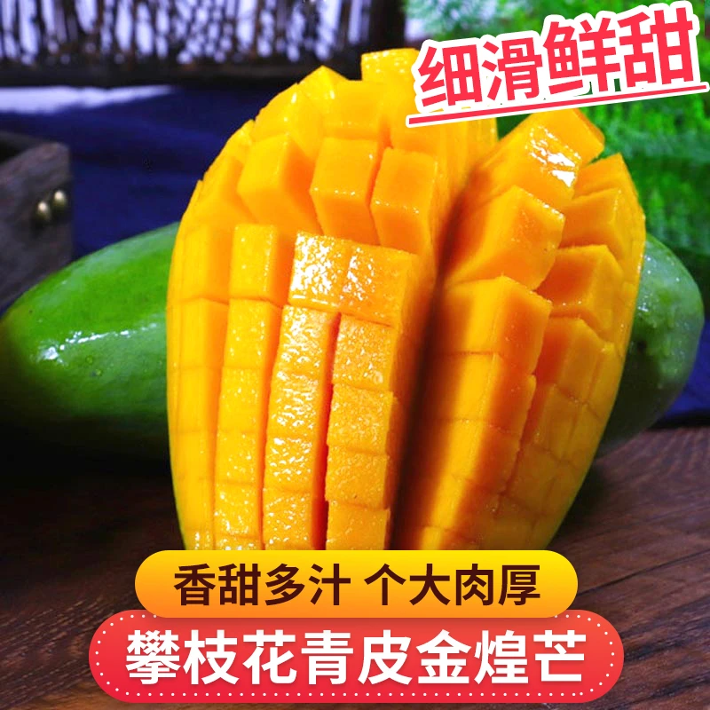 粉丝专享 攀枝花青皮金煌芒3-8斤芒果个大肉厚细滑鲜甜香甜多汁