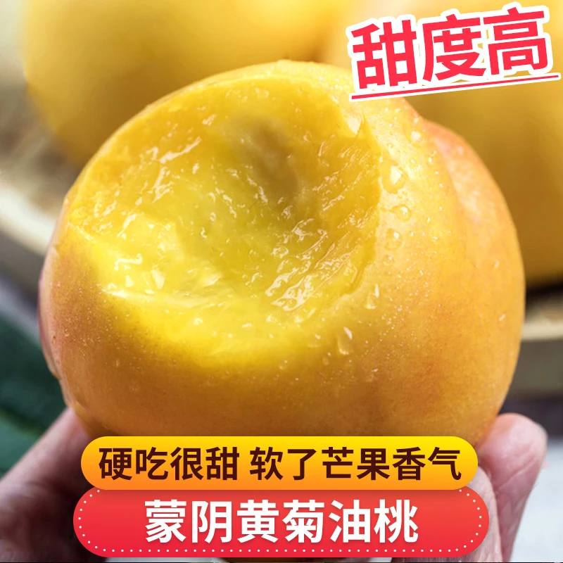 【果天使】 蒙阴黄菊油桃2-5斤硬吃很甜软了芒果香气新鲜水果桃子
