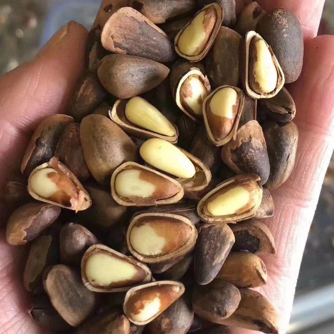 【活动价】新货东北烘炒原味松子坚果零食年货礼笨炒松子非油炸小火