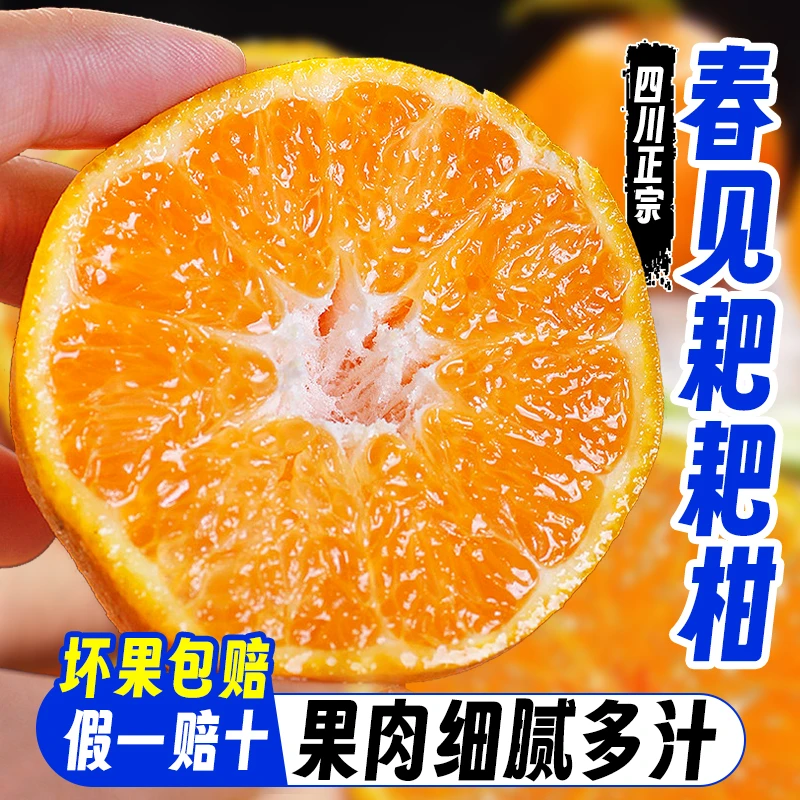 A四川春见耙耙柑3/4.5斤新鲜水果应当季橘子现摘柑橘蜜桔子