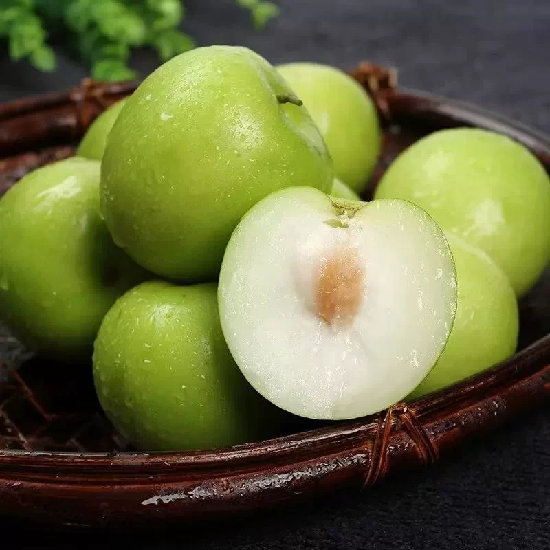 福建苹果枣3/4.5斤新鲜水果当季大青枣现摘脆甜枣子