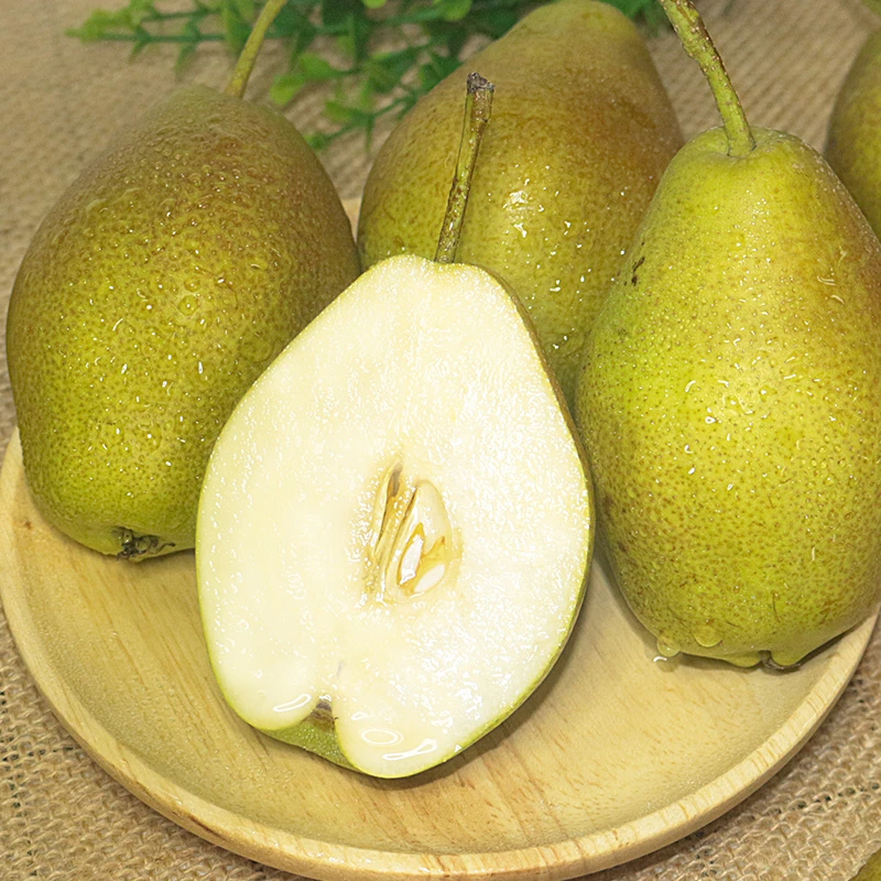 红香酥梨9枚装新鲜水果梨子应当季多汁酥梨现摘香梨多仓发货