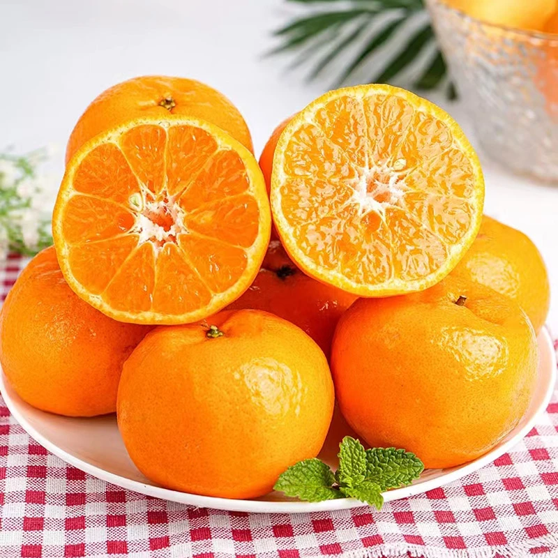 湖北宜昌椪柑4.5斤新鲜水果柑桔当季香甜橘子蜜桔现摘柑橘桔子