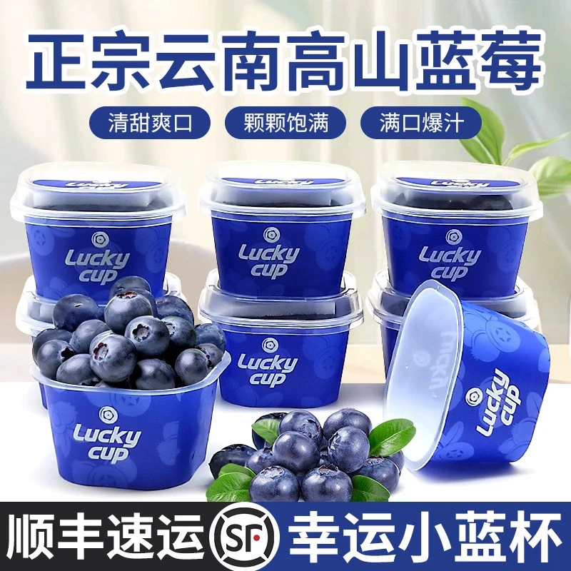 云南蓝莓小懒杯蓝莓鲜果礼盒装新鲜水果现摘脆甜小蓝杯蓝莓顺丰