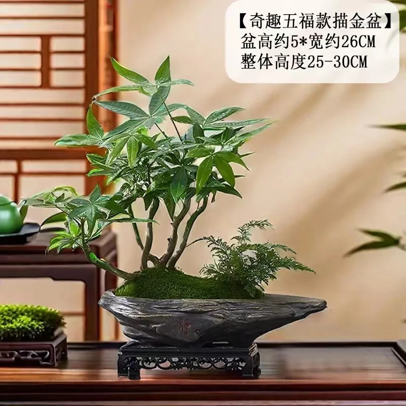 五福发财树盆栽绿植办公桌书房茶几好养招财树中式禅意盆景摆件