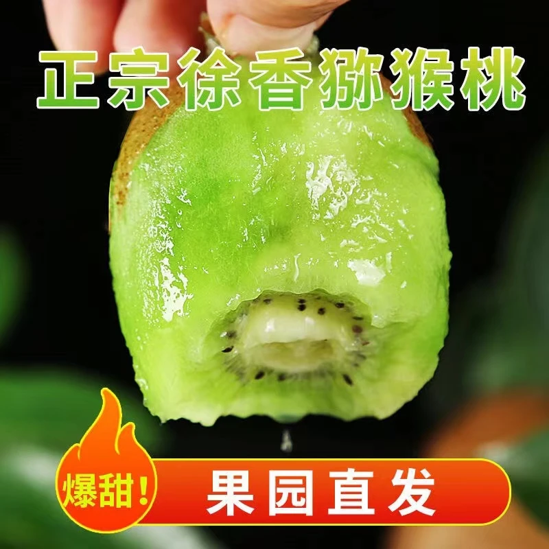 【正宗】陕西眉县徐香猕猴桃新鲜应季水果绿心奇异果包邮价整箱批发