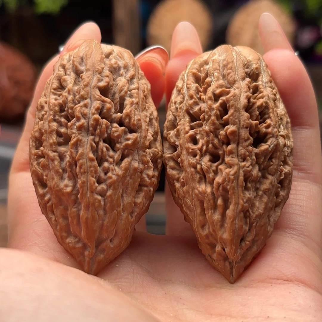 文玩核桃把件晓*关东木子小秋香60