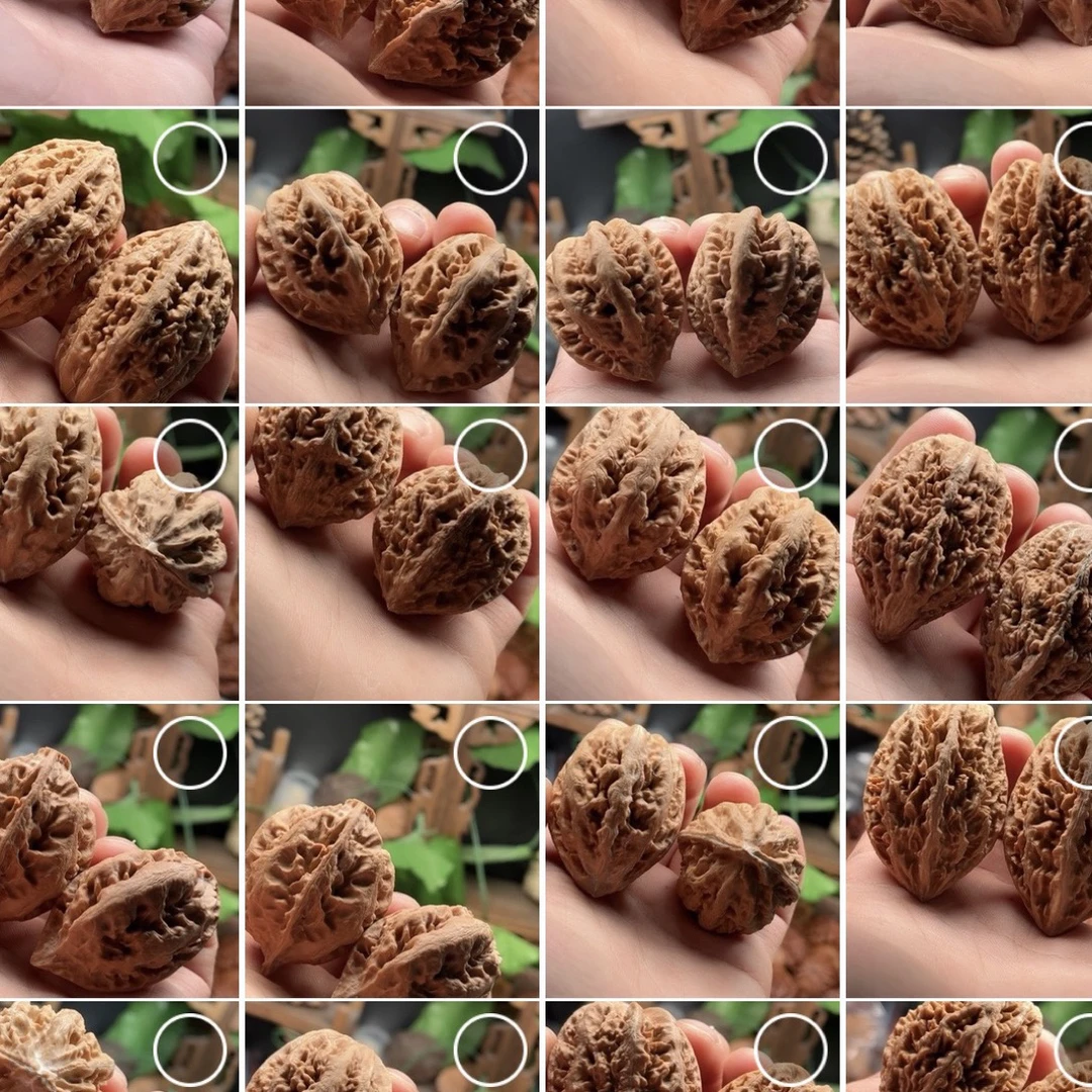 东北楸子文玩核桃压车链接