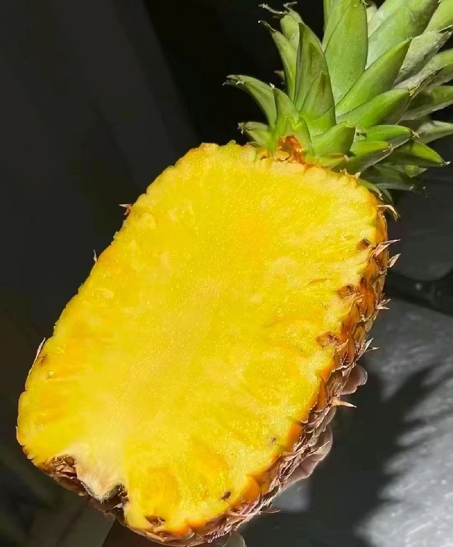 进口蒂盟凤梨全甜