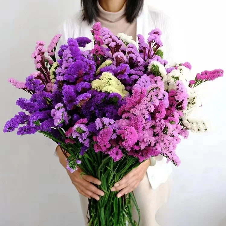 勿忘我干花【2单顺丰或京东】 云南鲜花基地直发家庭花材花瓶插花
