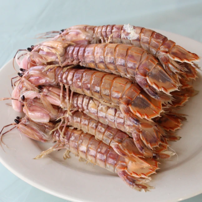 皮皮虾 唐山本地皮皮虾 8-9成肥【3斤起拍】京津冀【保鲜不保活】