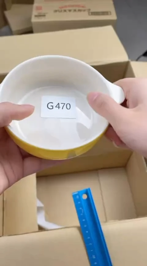 【闪购商品】密胺瓷片G470