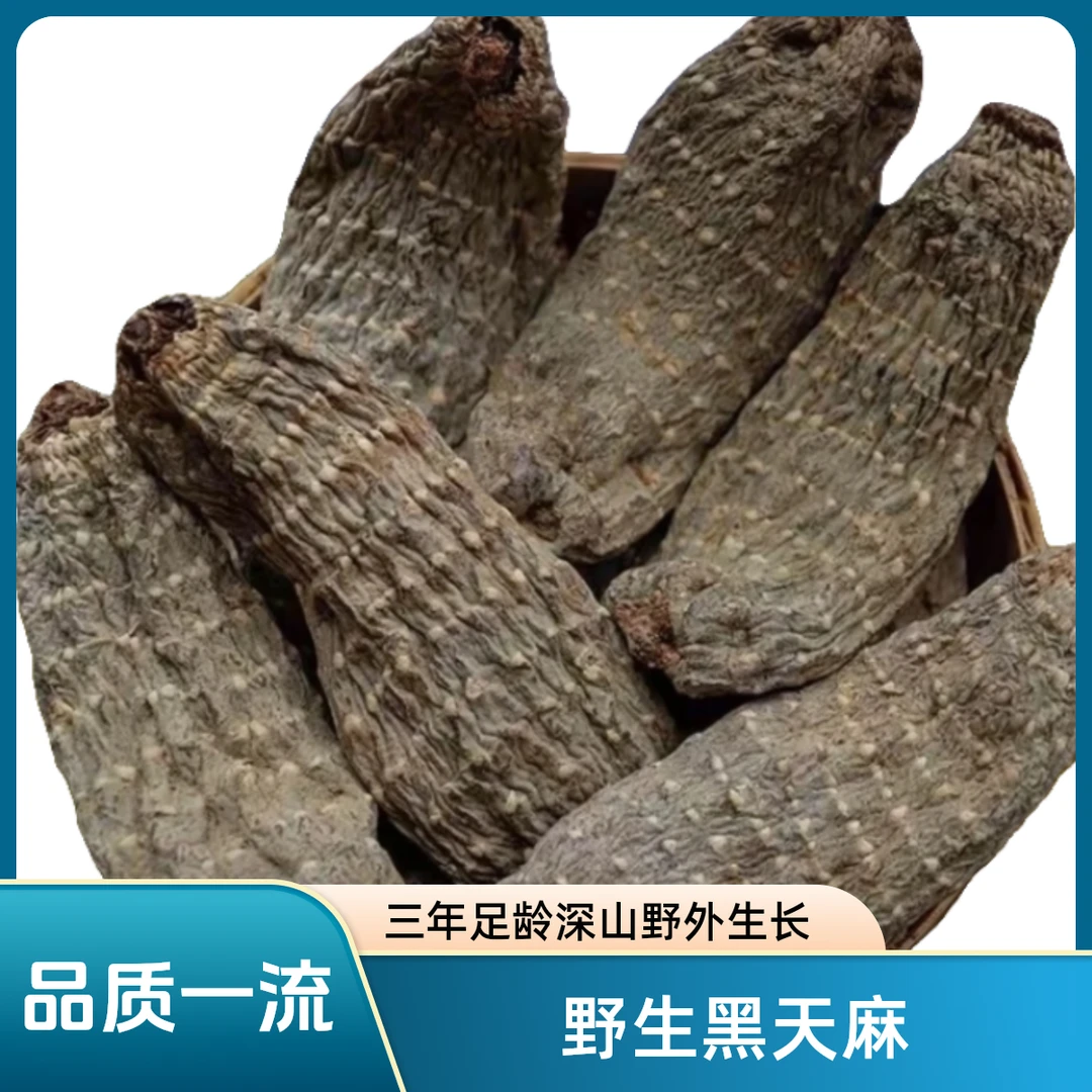 【野生黑天麻】  农产品 大自然好物   滋补