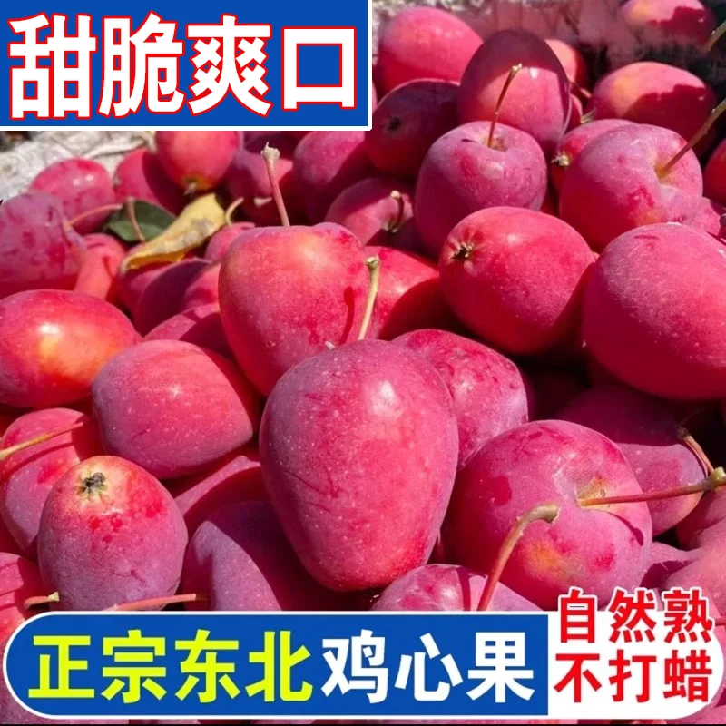 东北精品冰糖心鸡心果锦绣海棠果酸甜新鲜薄皮脆甜水果火红