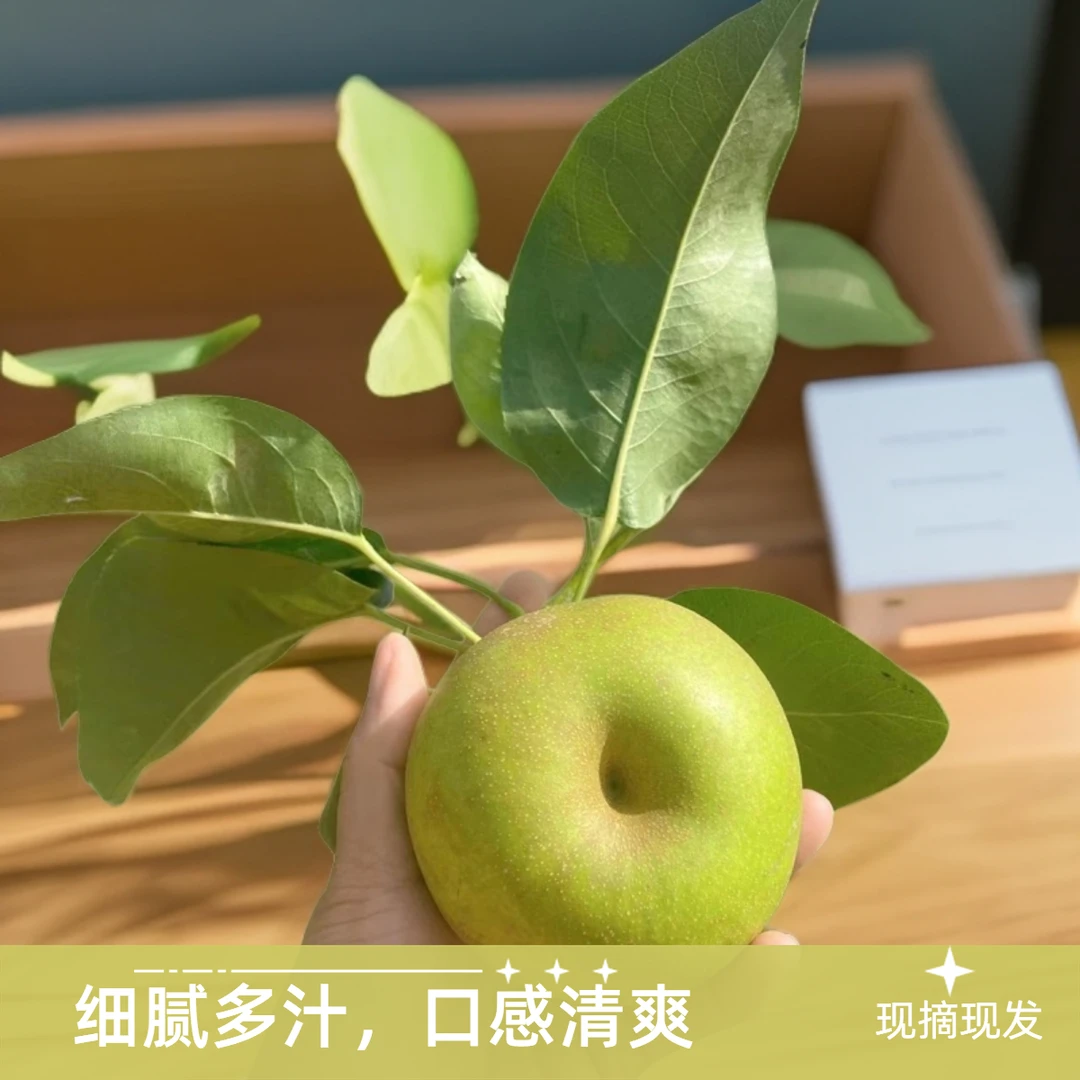崇明翠冠梨现摘皮薄夏日成熟果香汁水甘甜雪白清甜净重7斤包邮