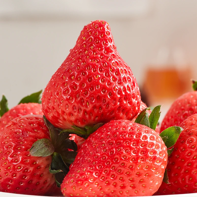 正宗丹东九九草莓1.8/2.8斤产地直发新鲜草莓大厨