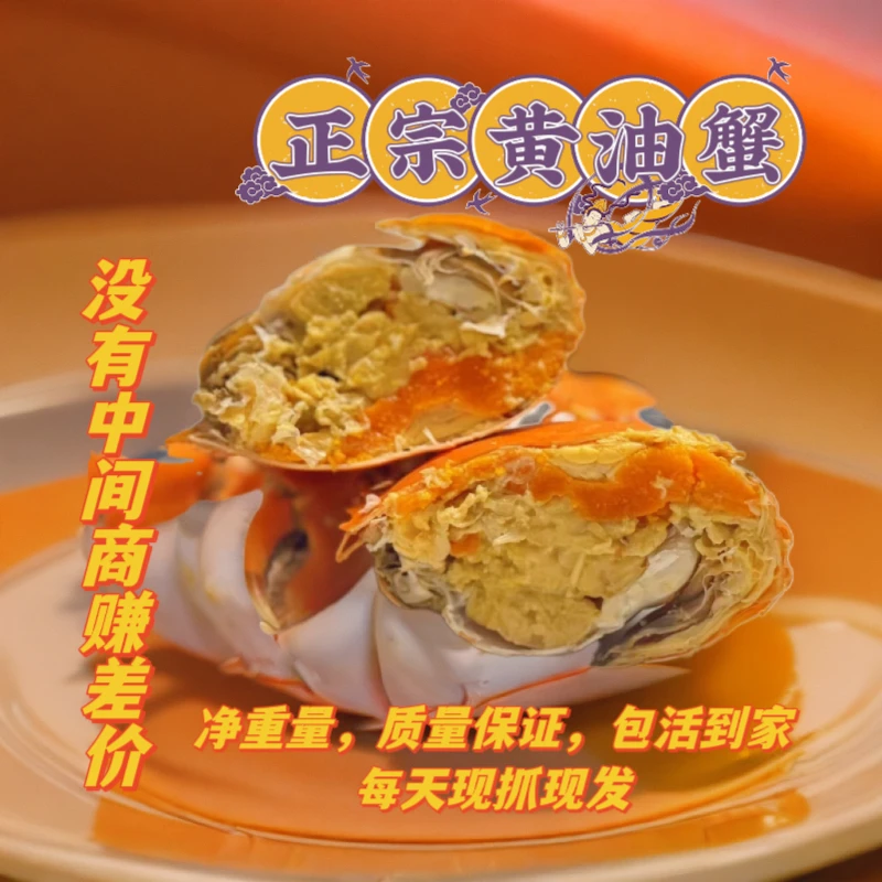 【正宗膏油黄油蟹6-7两/只】蟹蟹琳黄油蟹没有中间商赚差价质量保证