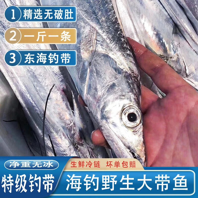 东海舟山带鱼整条新鲜冷藏3~8斤特大国产油带鱼 海捕发货肉厚营养