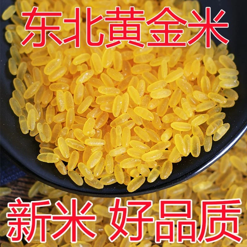 黑龙江黄金米大米东北玉香糯新鲜挑选热量生活产品