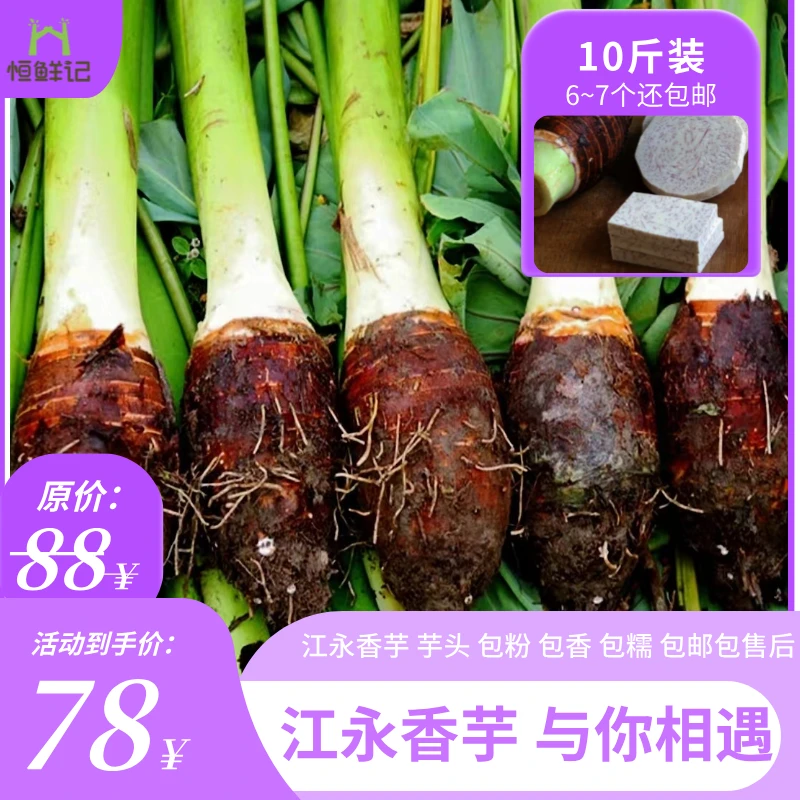 恒鲜记现挖现发正品江永香芋 芋头 芋艿 软糯香粉 包邮包赔包售后