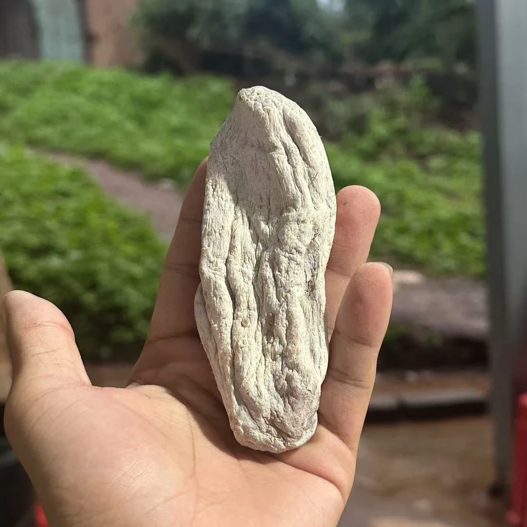 【白玉天麻】净重250g-500g-1000g(旭旭专属)