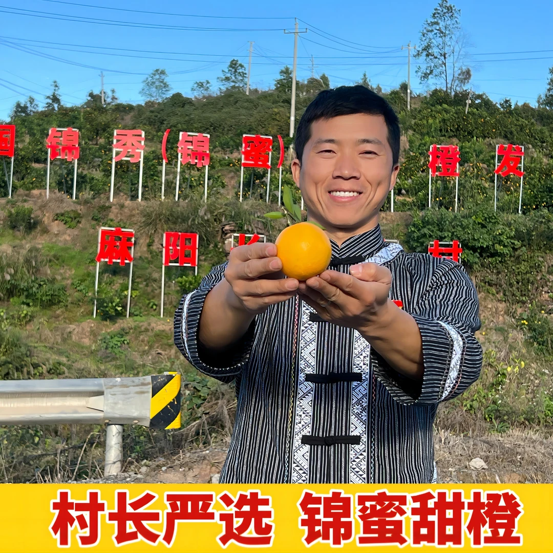 【村长严选】正宗麻阳冰糖橙(锦蜜甜橙)橙味浓郁产地带叶直发
