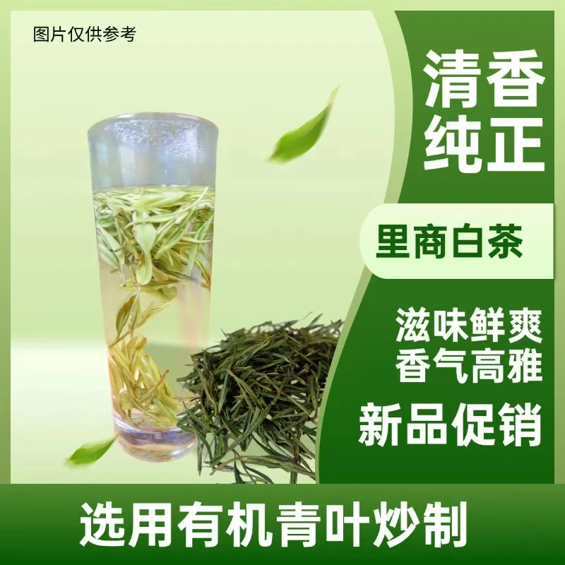 2024年新茶 千岛湖产区 里商白茶 山区茶 散装
