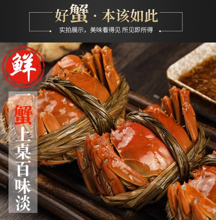 ［黄河口大闸蟹］1.8-2两鲜活全母（包活包肥）买8只送2只