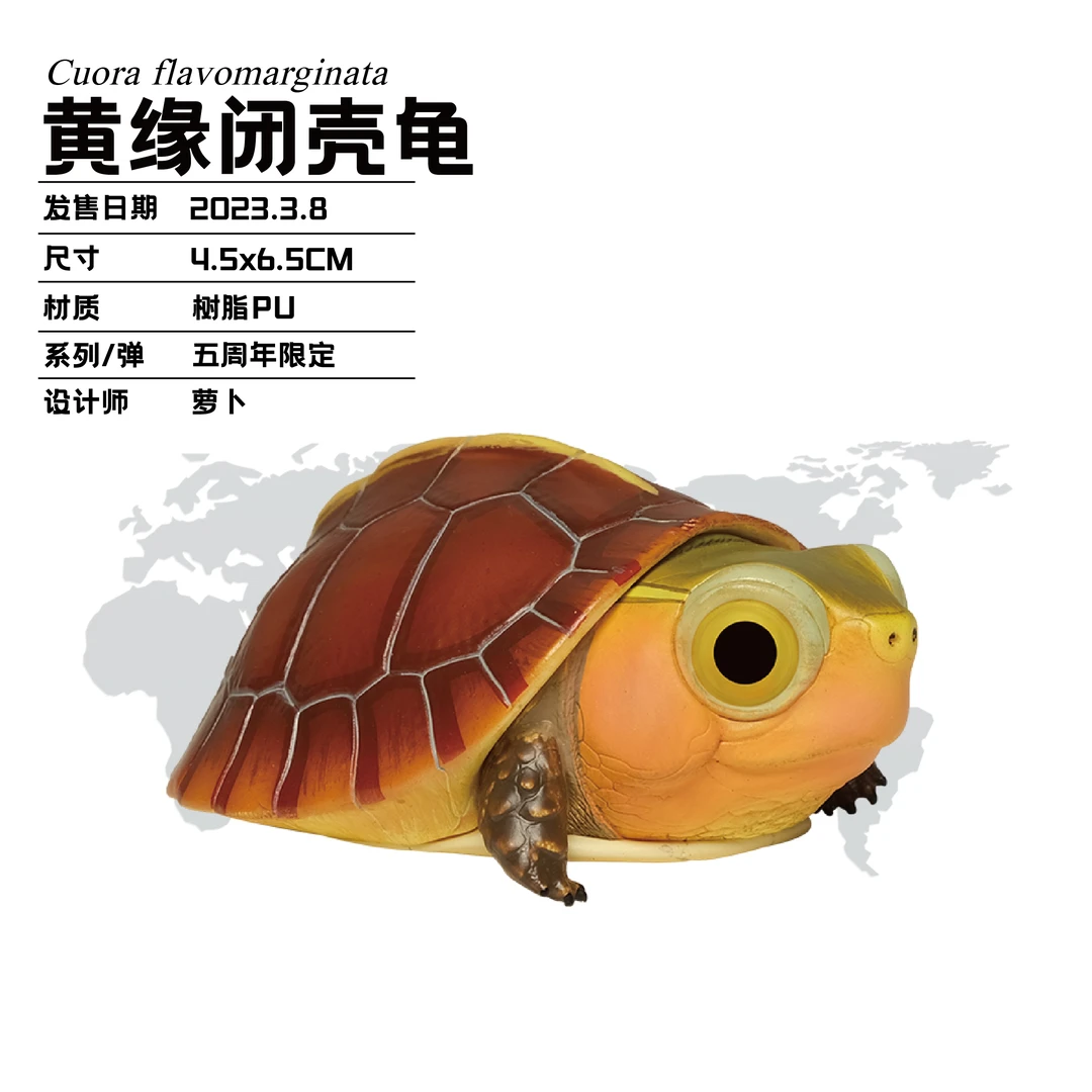 动物星球五周年限定 起源 黄缘 手办 摆件 限定