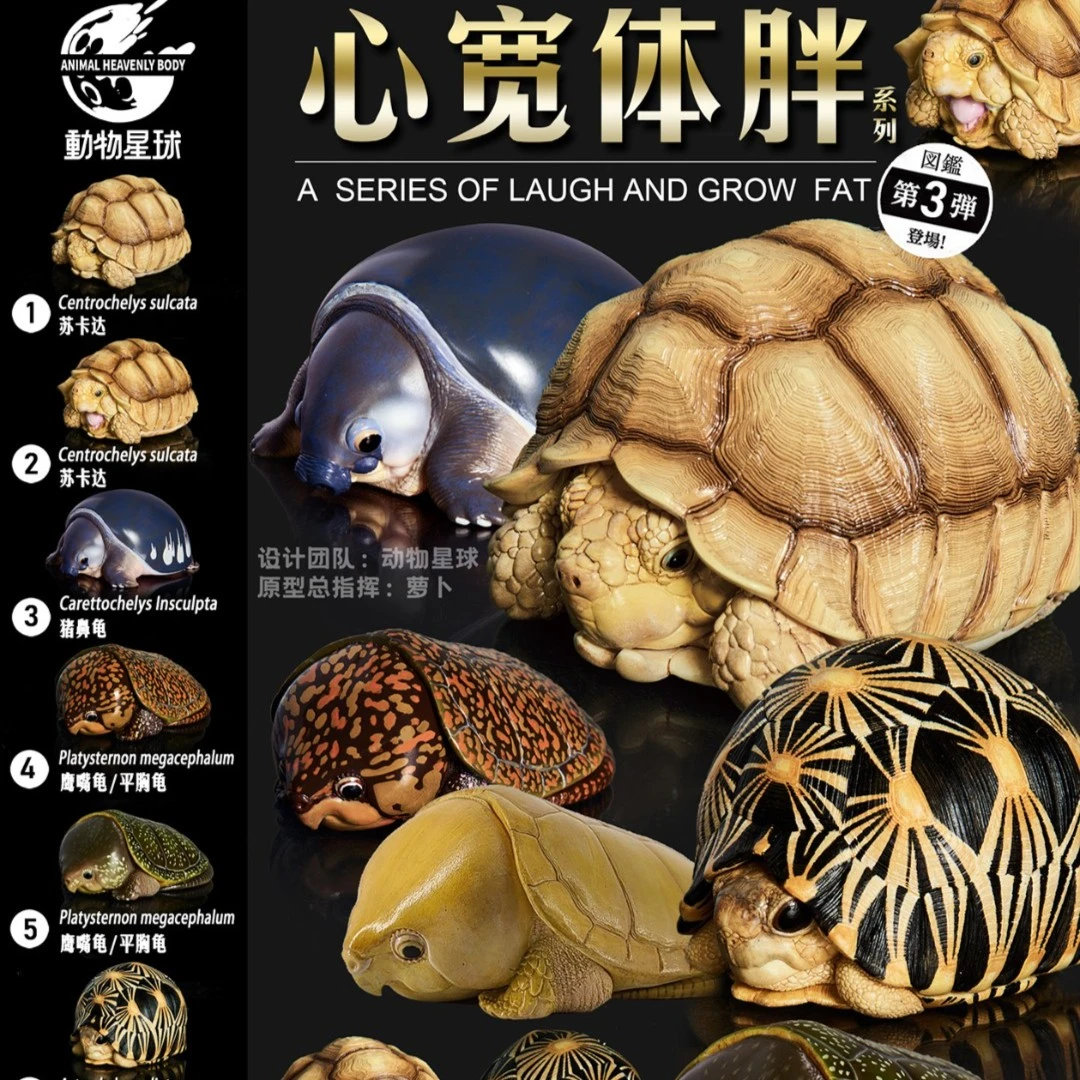 动物星球心宽体胖第三弹龟 爬宠 手办 模型 达人专享