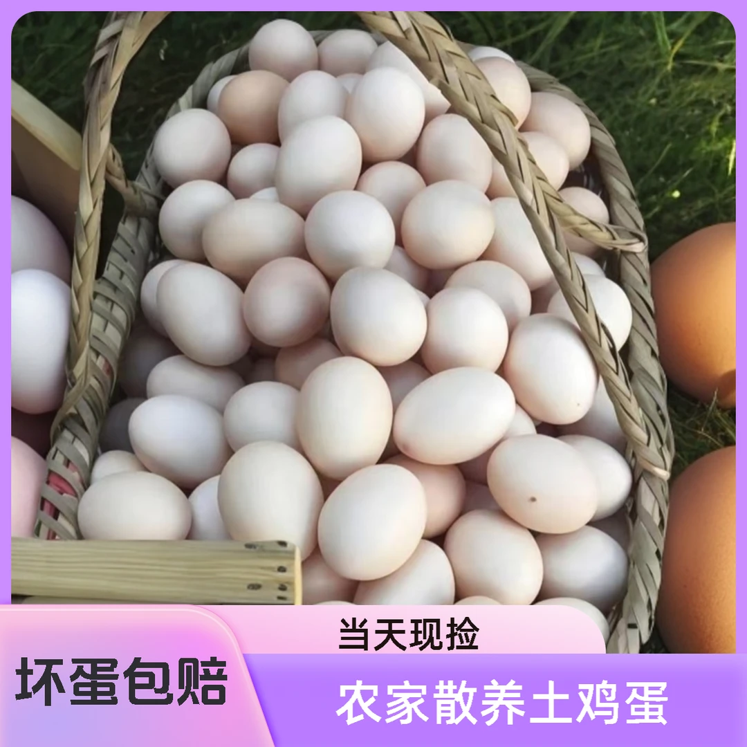 8号鸡蛋链接农家高山散养土鸡蛋粮食蛋一枚大约55-60克  包邮到家