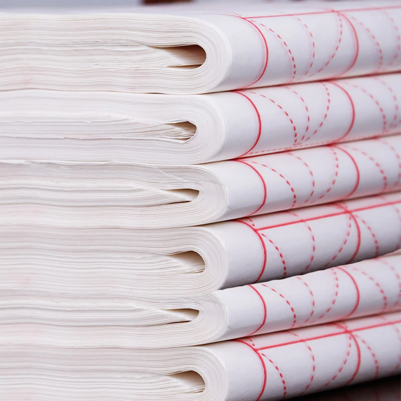 点点鸭宣纸加厚生宣半生宣米字格书法纸毛笔书法初学者厚实练习纸