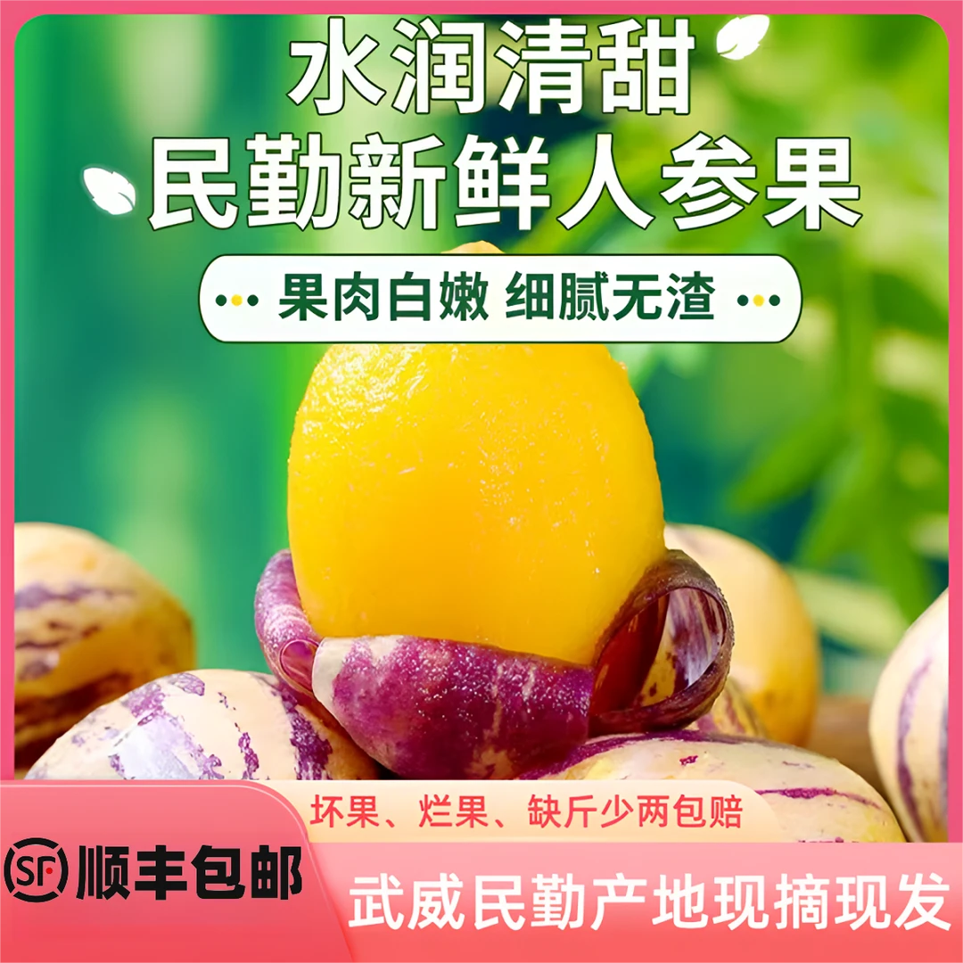 【顺丰】甘肃民勤人参果黄肉大果清甜多汁低糖产地现摘现发坏果包赔