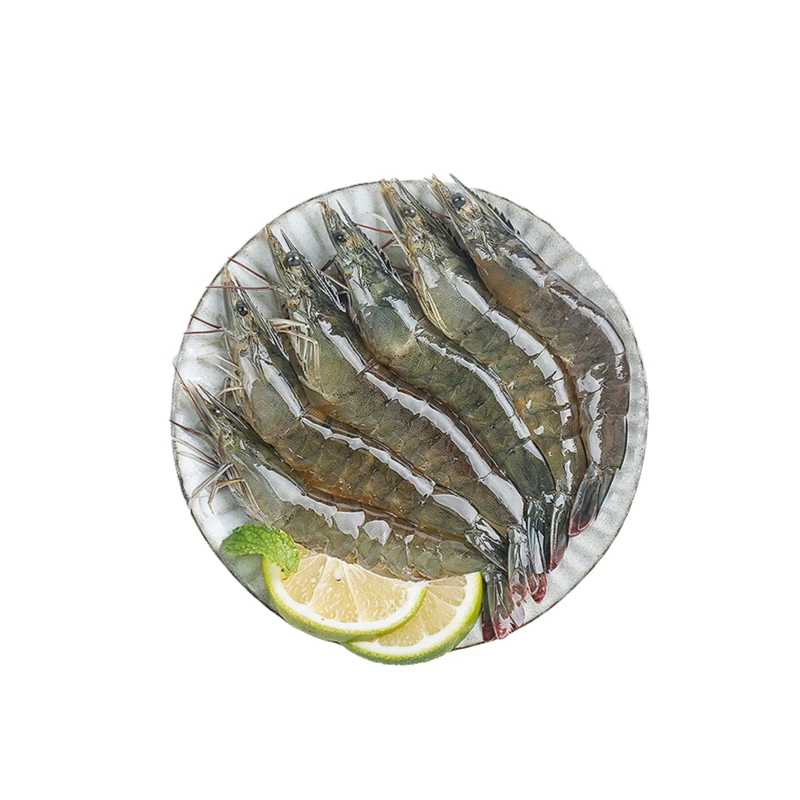 鲜活海白虾明虾沙虾