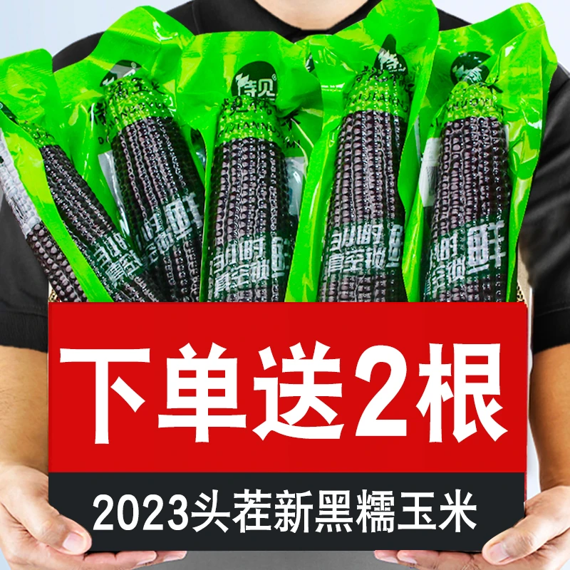 待见【黑玉米8根糯玉米】香甜软糯  新鲜 真空包装 下单送2根