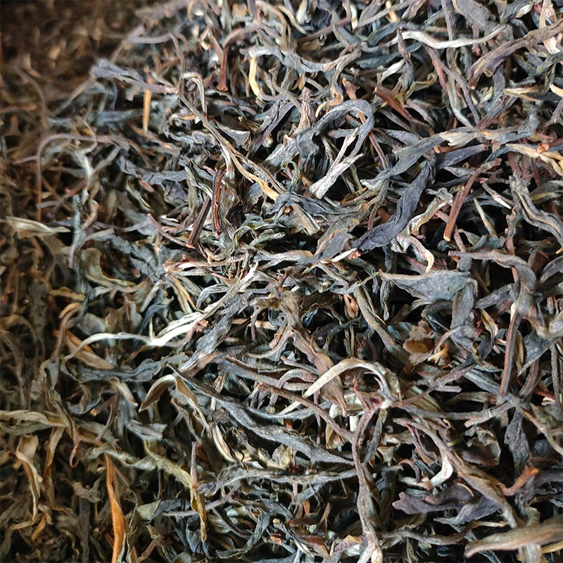 2023年大雪山 古树 普洱茶茶香浓郁滋味悠长茶汤浓厚