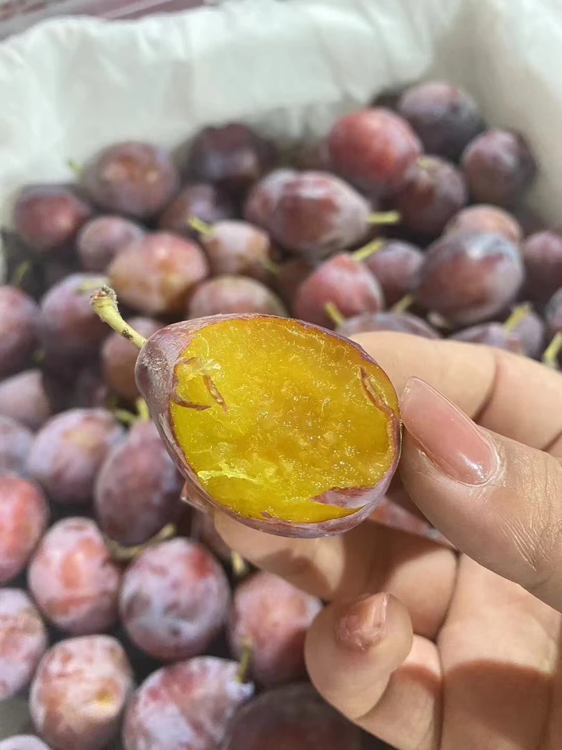 【潘潘优选】智利西梅软甜多汁