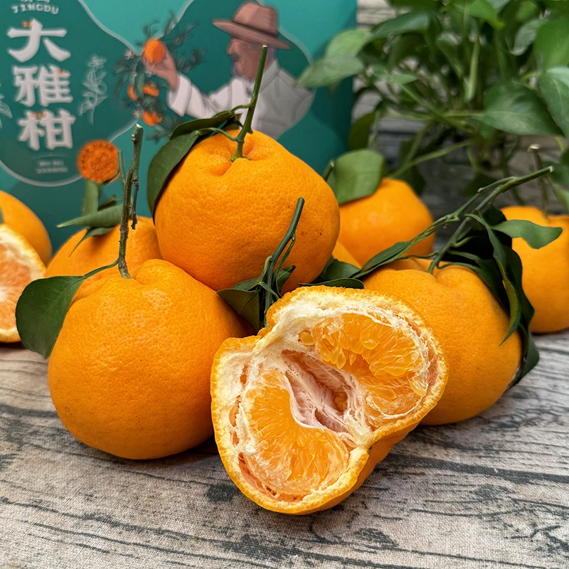 【乐鲜果园】四川眉山精笃大雅柑春见7斤原箱当季新鲜柑橘