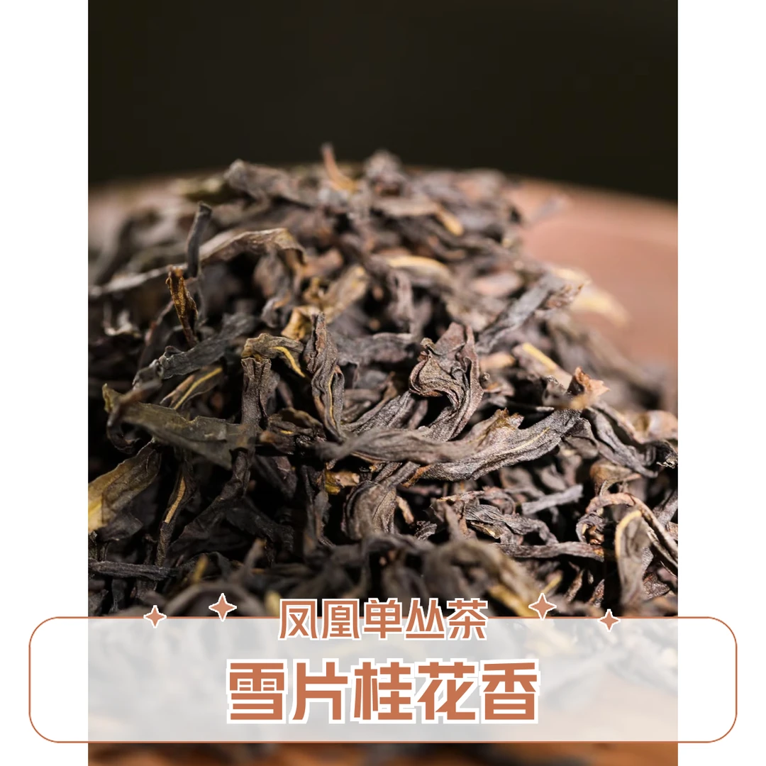 凤凰单丛茶 雪片桂花香 潮州正宗凤凰产区乌龙茶冬季乌龙茶