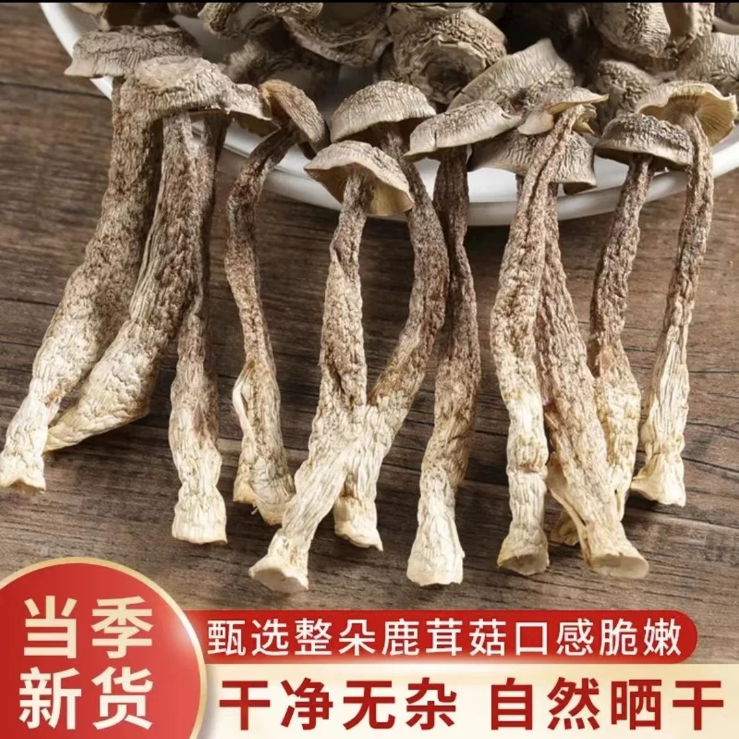 鲜味菇甄选日晒干货500g包邮脆脆菇鲜味菌鹿茸菇营养美味鲜香