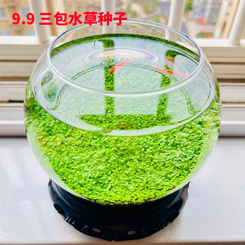 水草种子鱼缸水草籽草缸造景真草水草泥+对叶草种子