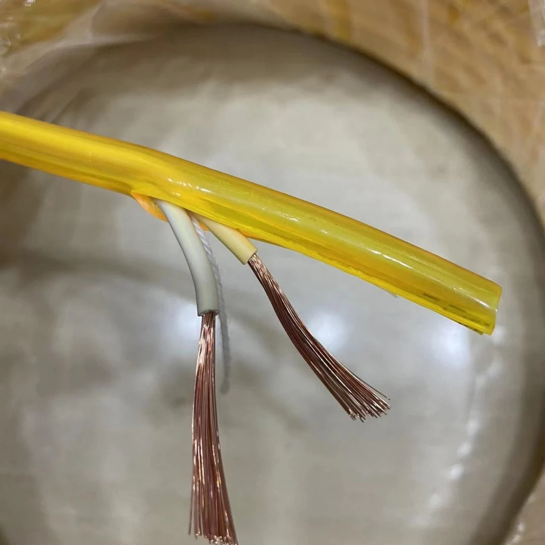 防冻电线电缆 3000W  10米